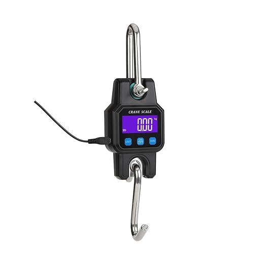 300kg Rechargeable Digital Eletronicos Scale Backlight Hanging Hook Double Accuracy Fishing Travel Weighing Scale Multiple Functions(Black)