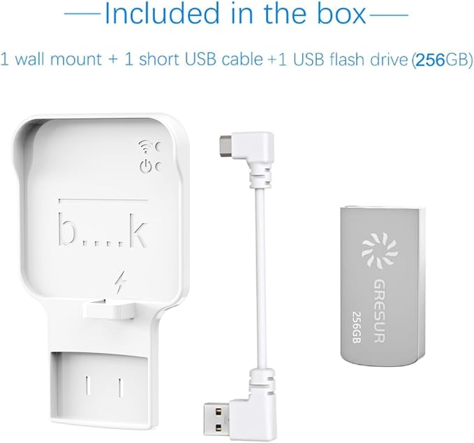256GB USB Flash Drive for Local Video Storage with The Blink Sync Module 2 Mount (Blink Add-On Sync Module 2 is NOT Included)