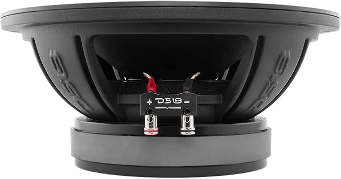 DS18 PRO-ZXI10MBASS 10" Pro Audio Mid Bass Loudspeaker 1000 Watts 8-Ohm - Premium Quality Audio Door Speakers for Car or Truck Stereo Sound System (1 Speaker)