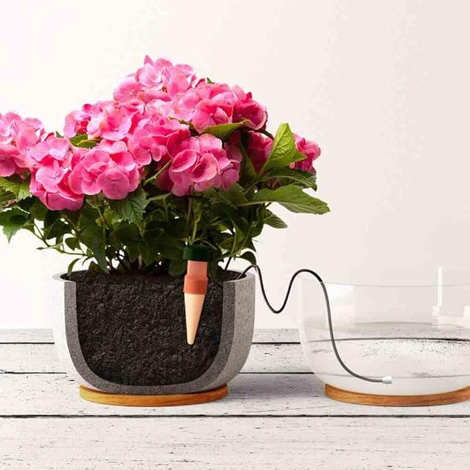 Blumat Classic Self-Watering Stakes - Prevents Overwatering and Underwatering for Healthy Growth While You are Away - Ideal for Indoor Plant Watering (9 Pack w/o Adapter)