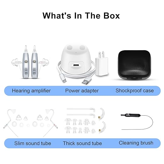 Rechargeable Hearing Aids for Adults and Seniors 8 Channel Digital Small BTE Design with Noise Cancellation, Include Magnetic Contact Charging Dock (Pair, Grey)