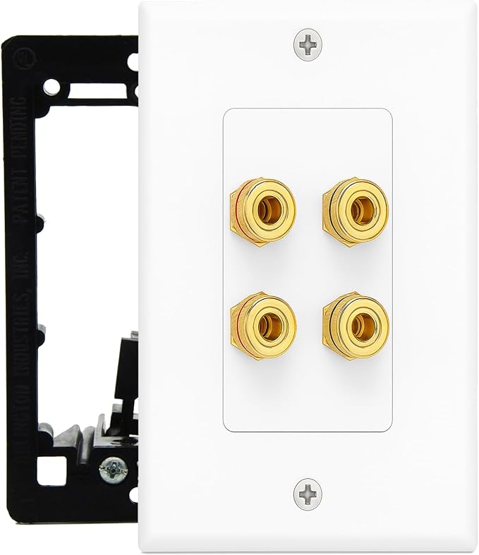 DIYTECH 2 Speaker Wall Plate, Home Theater Wall Plate, Gold Plated Binding Posts, for Home Theater Setup