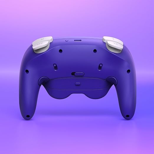 NYXI Warrior Switch Controller for Switch/Switch 2/NGC/Wii/PC, Wireless Switch Pro Controller with Hall Effect Joysticks/Trigger, Mechanical Switch A/B/X/Y, HD Rumble, 6-Axis Gyro,Programmable