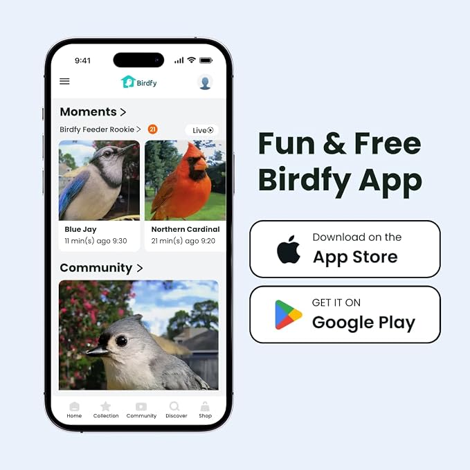 Birdfy Smart Bird Feeder with Camera for Rookie, Camera Bird Feeder Dual Night Vision, AI Recognition IP66 Waterproof for BirdLovers, 1.3L Capacity