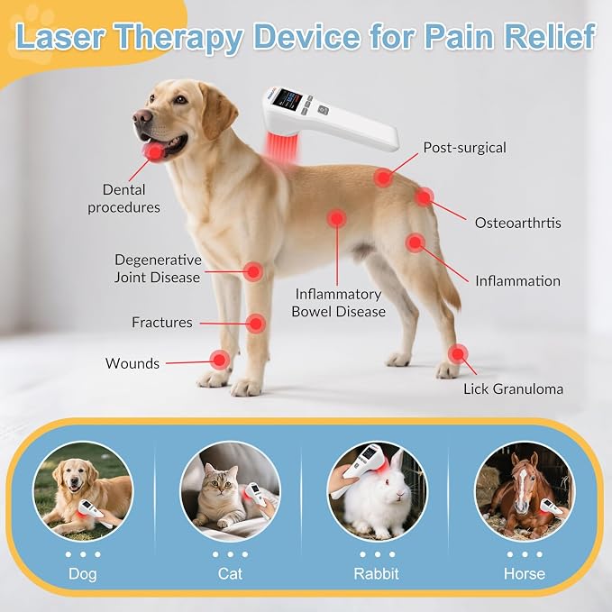 Cold Laser Therapy for Dogs 4x808nm and 16x650nm Veterinary Laser Therapy Machine, Red Light Laser Therapy for Pain Relief Arthritis Muscle Joints, Pet Laser Therapy at Home for Dogs, Cat and Horse