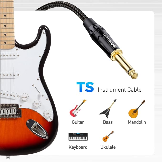 Cable Matters 2-Pack Braided 1/4 Inch TS to TS Electric Guitar Cable - 6ft, Guitar Cord/GuitarAmp Cord/Instrument Cable for ElectricGuitar, Mandolin, Bass AMP, Keyboard, Mixer, Equalizer