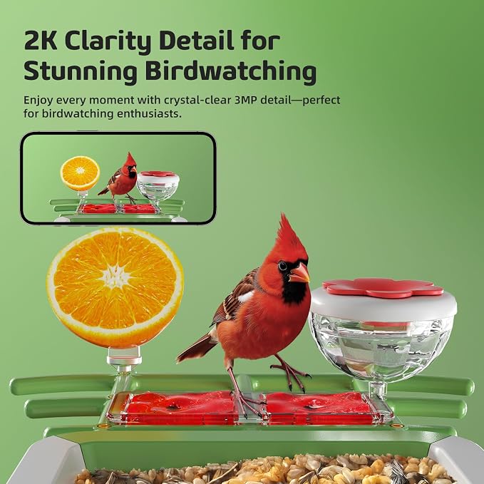 Bird Feeder with Camera, 2K HD Smart Birds Feeder with Solar Panel, AI Bird-Recognition, Instant Motion Alerts, Auto Capture BirdVideos, Outdoor Birdhouse Feeder Gift for Bird Lovers