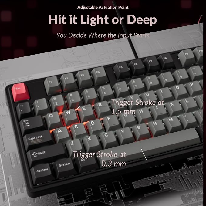 Keychron C3 HE TKL Wired Mechanical Keyboard (80% Layout), Magnetic Switches with Adjustable Actuation, Rapid Trigger, QMK/Launcher Web Programmable, RGB Backlit, PBT Keycaps for Mac/Windows/Linux