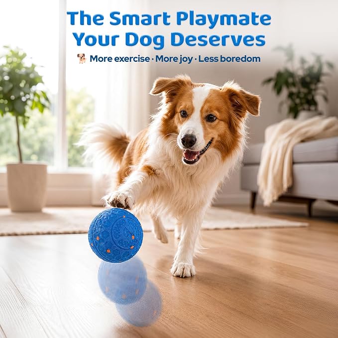 Smart Interactive Dog Ball Toy, Self Rolling Bouncy Ball for Medium and Large Dogs, Durable E-TPU Herding Ball with Auto Movement, IPX65 Waterproof & Washable Shell, Type-C Charging - Blue