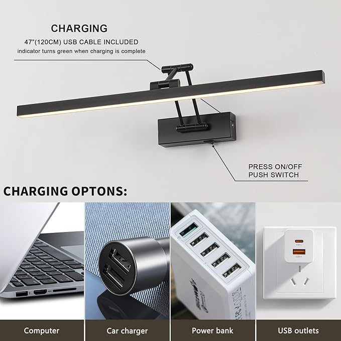 LED Battery Operated Picture Lights with Remote Wireless Art Lighting for Wall 23.6 Inch Rechargeable Painting Black Frame Light Dimmable 3CCT Gallery Light for Library Portrait