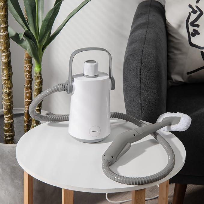 LDAILY Handheld Steam Cleaner, 1000W Portable Pressurized Steamer, Multipurpose Steam Cleaning Machine for Kitchen, Garment, 300ml (10.2oz) Water Tank, 10 Accessories Included, Portable Steamer (Grey)