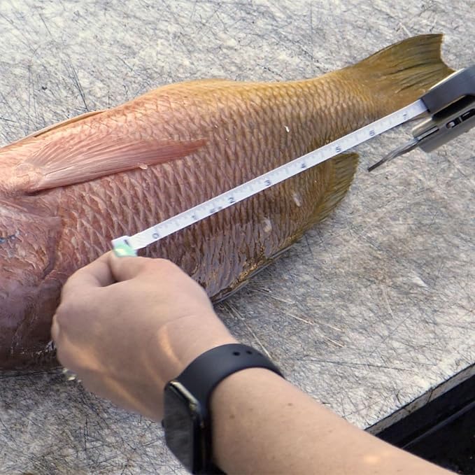 CUDA Digital Grip & Weigh 50Lb | Durable For Saltwater and Freshwater Use Fish Scales with Non-Slip Grip, Integrated Tape Measure & Stainless Steel Jaws | Lanyard Included