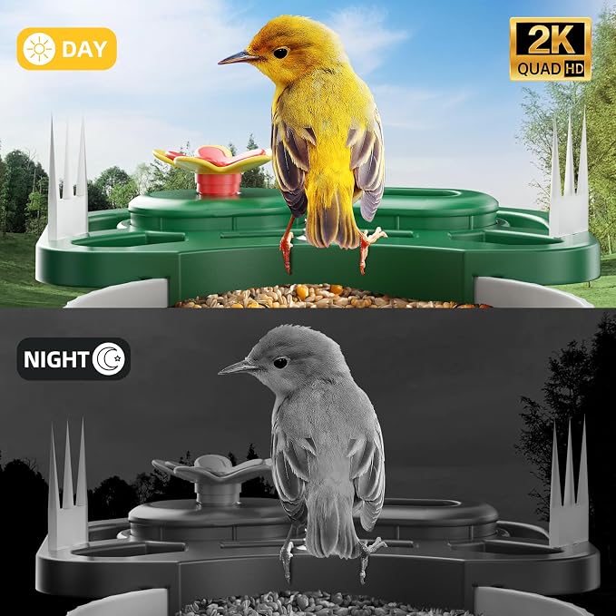 SV3C Bird Feeder with Camera Solar Powered, Smart Camera Bird Feeder with AI Identify BirdSpecies, Instant Alerts, 2K HD Video, Various DIY Addons, 2.4G WiFi, Gift for Mom Dad and Birdlover (Green)