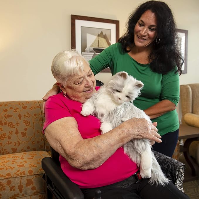 JOY FOR ALL Ageless Innovation Companion Pets | Silver Cat with White Mitts | Lifelike & Realistic | Comfort, Joy & Companionship