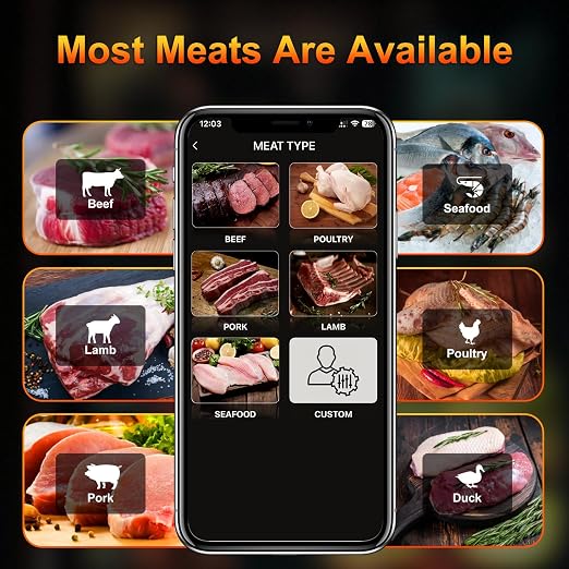 Wireless Meat Thermometer with 2 Ultra-Thin Probes, Bluetooth Digital Food Thermometer 600FT Remote Range, Standalone Smart Base for Grill Smoker Roast Oven, Cooking