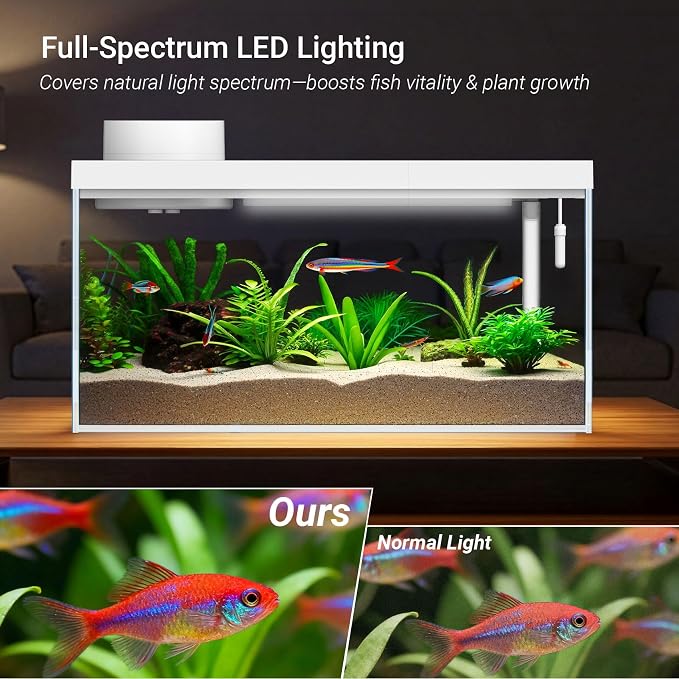 Smart Desktop Aquarium Kit with App Control - 1.3 Gal Small Fish Tank with Automatic Feeder, HD Glass, RGB Lighting, & Temperature Monitor - Self-Cleaning Filtration System for Betta, Guppy