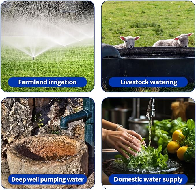 GarveeTech 1.75 Hp Shallow Well Jet Pump, 2070GPH Cast Iron Above Ground Booster Water Transfer Pump, Depth Up to 25 ft, 115V/230V Dual Voltage 60Hz, for Draining Irrigation Lawn Farm Water Removal