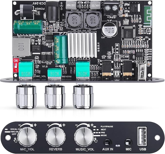 Bluetooth5.3 Mini Amplifier Board 100W Mono Power Amp with TWS Box, Karaoke Audio Amps Module with Boost for Home/Outdoor DIY Speakers, DC 9-24V, MIC and Reverb, Supports BT/USB/AUX Inputs
