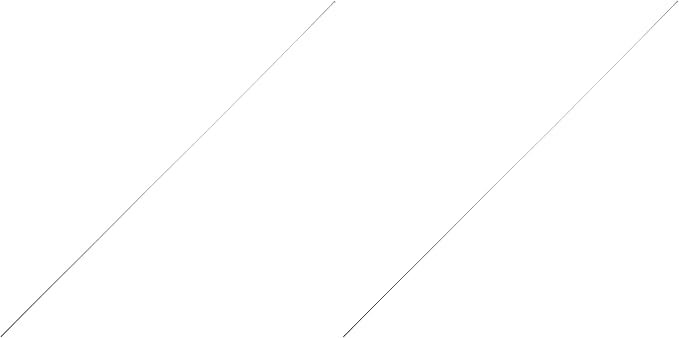 Wilson Antenna 305-900905 Replacement CB Antenna Whip for T2000 and T5000 Series Antennas Silver 49 Inch (Pack of 2)