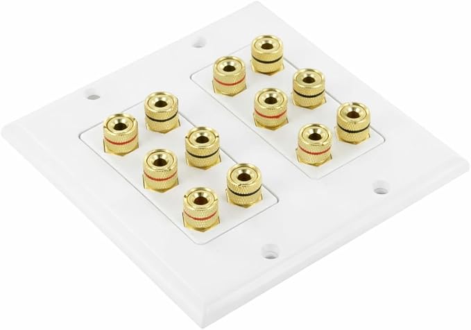DIYTECH 6 Speaker Wall Plate, Home Theater Wall Plate, Gold Plated Binding Posts, for Home Theater Setup