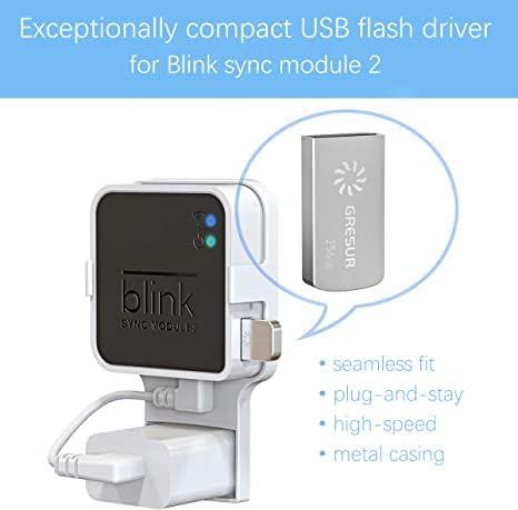 256GB USB Flash Drive for Local Video Storage with The Blink Sync Module 2 Mount (Blink Add-On Sync Module 2 is NOT Included), 2Pack