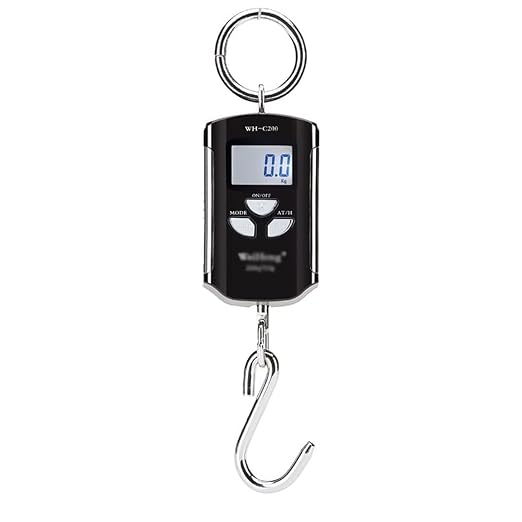 Digital Luggage Scales, 200kg/100g Mini Crane Scale Portable Heavy Duty Crane Scale LCD Display with Backlight Industrial Digital Scales (Color : Red, Size : 200Kg/100g)(Silver)