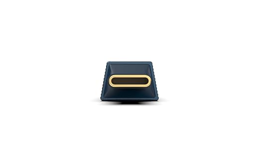 iFi GO Link 2 Max USB DAC Headphone Amp – Dual ESS Sabre, 241mW Balanced 4.4mm Output, Hi-Res Audio, Low Noise, Dynamic Range Enhancement, Portable DAC for Phone Laptop PC-PCM 384kHz/DSD256