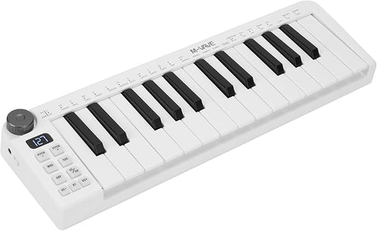 25 Key Bluetooth USB MIDI Keyboard Controller, Portable and Rechargeable Midi Controller For Mac and PC, Dynamic Keybed Music Production, Smart Chord, Scale Modes, Software Included (Mini)