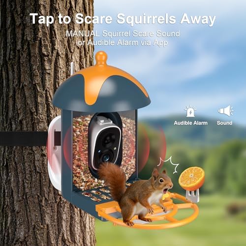 Smart Bird Feeder with Camera Outdoor Birdhouse: AI Identifies 11000+ Species, 2K HD with Arrival Alerts, Attracts Hummingbirds, Solar Powered