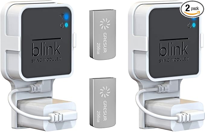 256GB USB Flash Drive for Local Video Storage with The Blink Sync Module 2 Mount (Blink Add-On Sync Module 2 is NOT Included), 2Pack
