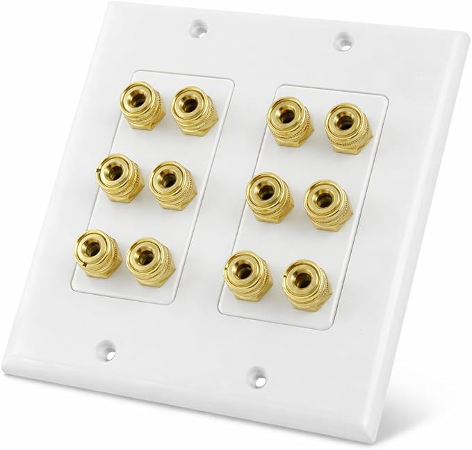 DIYTECH 6 Speaker Wall Plate, Home Theater Wall Plate, Gold Plated Binding Posts, for Home Theater Setup