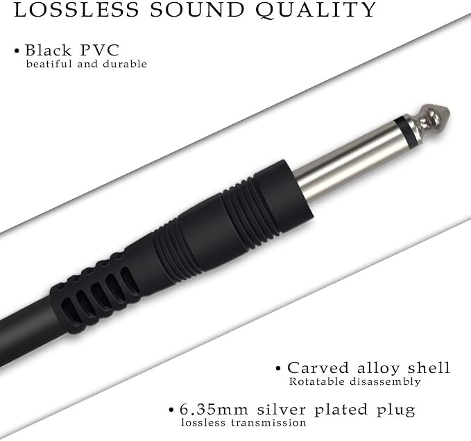 USB Guitar Cable 10Ft, USB Guitar Interface Male to 6.35mm 1/4 inch Gold-Plated TS Mono Plug,Recording Cable Compatible with PC, Mac, Xbox, PS4, PS3,PS2
