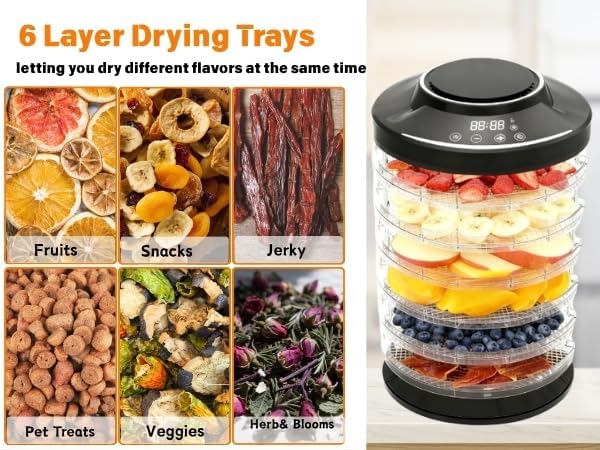 Food Dehydrator Machine for Mushroom,6 Trays Jerky Dehydrator Machine with 24H Timer, 600W 158°F Food Dryer Dehydrator for Meat, Herbs, Meat, Fruit,Dog Treats (Black)