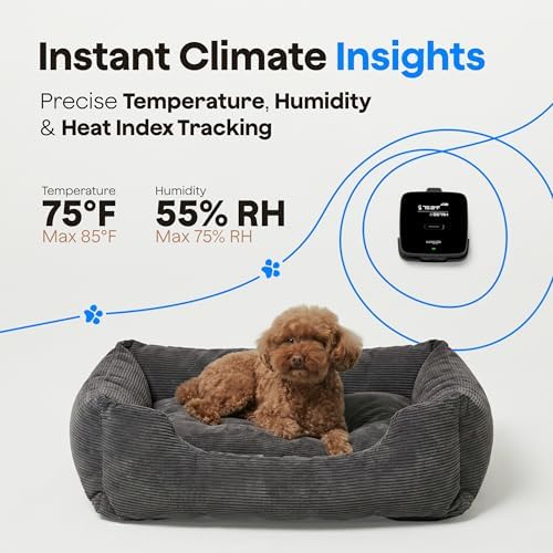 Waggle 4G LTE Pet Monitor Lite + RV Mini Camera - Cellular Temperature & Humidity Monitor, Real-time Alerts - RV/Camper/Van/Car Monitoring - Subscription Required