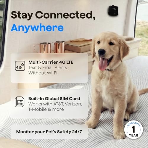 Waggle 4G LTE Pet Monitor Lite + RV Mini Camera - Cellular Temperature & Humidity Monitor, Real-time Alerts - RV/Camper/Van/Car Monitoring - Subscription Required