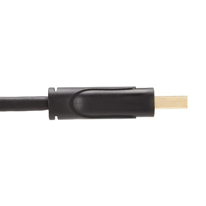 Amazon Basics DisplayPort to DisplayPort 1.2 Cable, 4K@60Hz, 2K@165Hz, 2K@144Hz Video Resolution, Gold-Plated Connectors, 3 Feet, Black (Pack of 2)