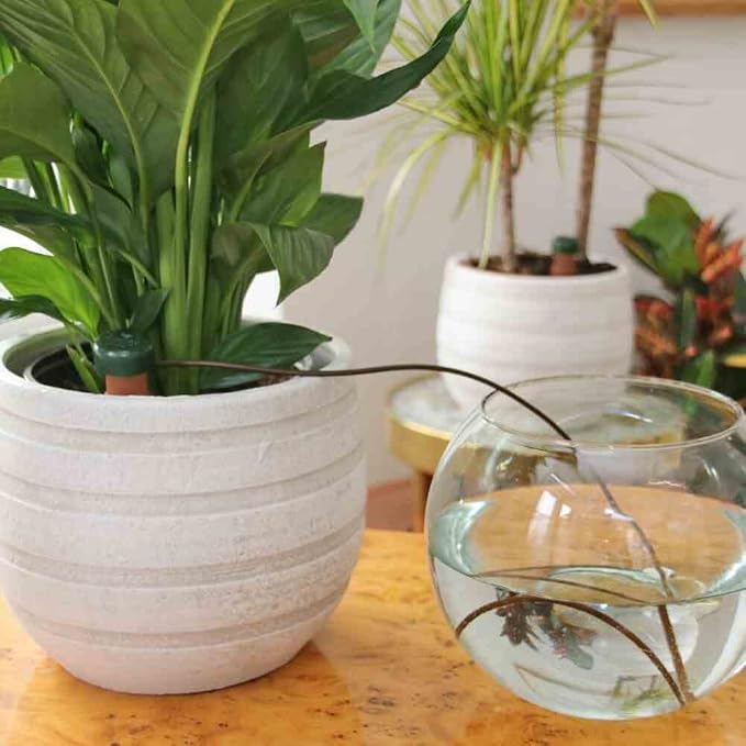 Blumat Classic Self-Watering Stakes - Prevents Overwatering and Underwatering for Healthy Growth While You are Away - Ideal for Indoor Plant Watering (9 Pack w/o Adapter)