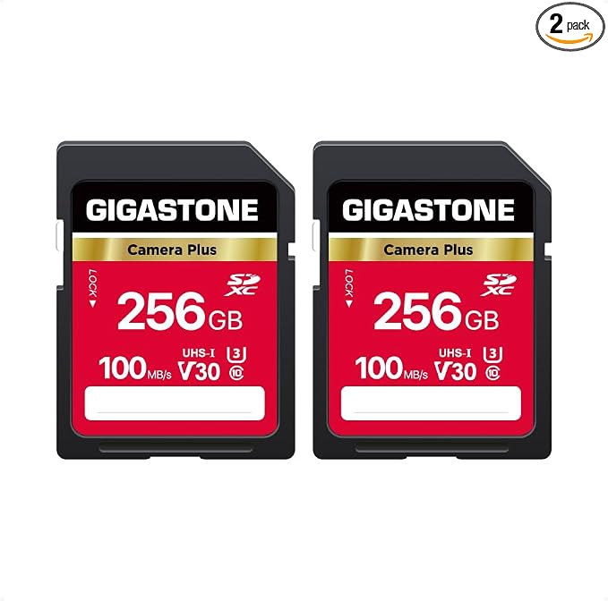 GIGASTONE 256GB SD Card 2-Pack, Camera Plus, UHS-I V30 SDXC Memory Card High Speed UHD Video Compatible with Kodak Olympus Digital Camera, with 2 Mini Cases