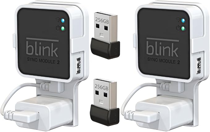 256GB USB Flash Drive with Outlet Mount Compatible with Blink Sync Module 2, Space-Saving Mount Bracket Holder for Blink Outdoor/Indoor Security System (Sync Module 2 is NOT Included),2Pack