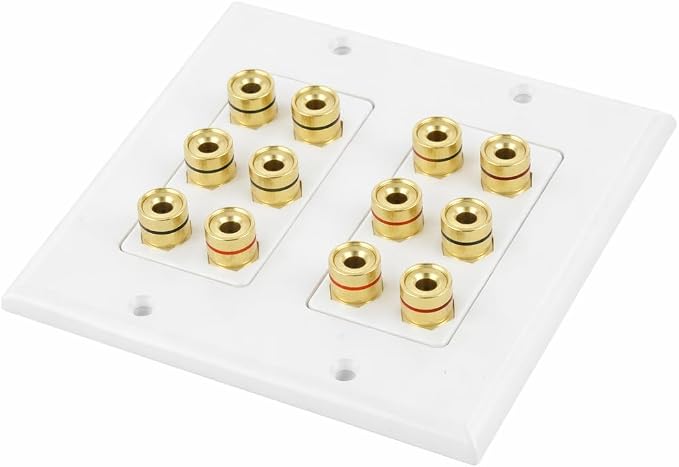 DIYTECH 6 Speaker Wall Plate, Home Theater Wall Plate, Gold Plated Binding Posts, for Home Theater Setup