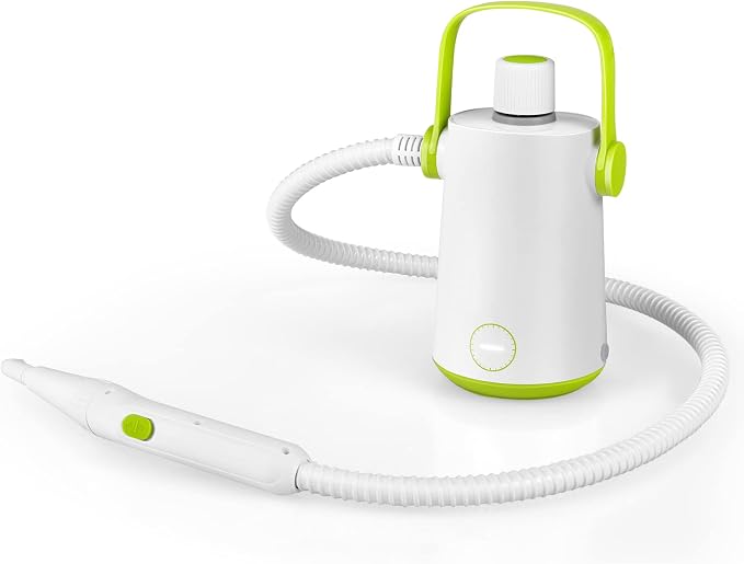 LDAILY Handheld Steam Cleaner, 1000W Portable Pressurized Steamer, Multipurpose Steam Cleaning Machine for Kitchen, Garment, Floor, Window, 300ml (10.2oz) Water Tank, 10 Accessories Included, Portable Heavy Duty Steamer (Green)