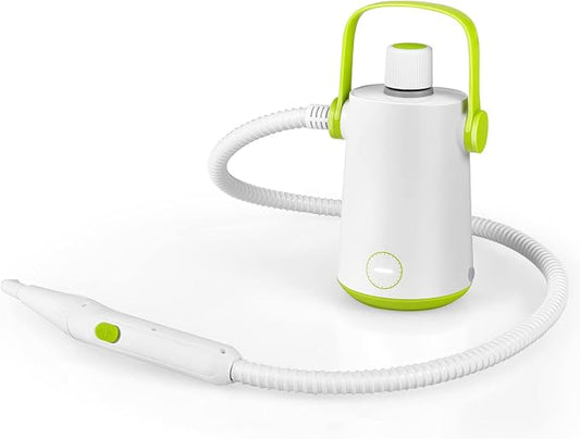 LDAILY Handheld Steam Cleaner, 1000W Portable Pressurized Steamer, Multipurpose Steam Cleaning Machine for Kitchen, Garment, Floor, Window, 300ml (10.2oz) Water Tank, 10 Accessories Included, Portable Heavy Duty Steamer (Green)