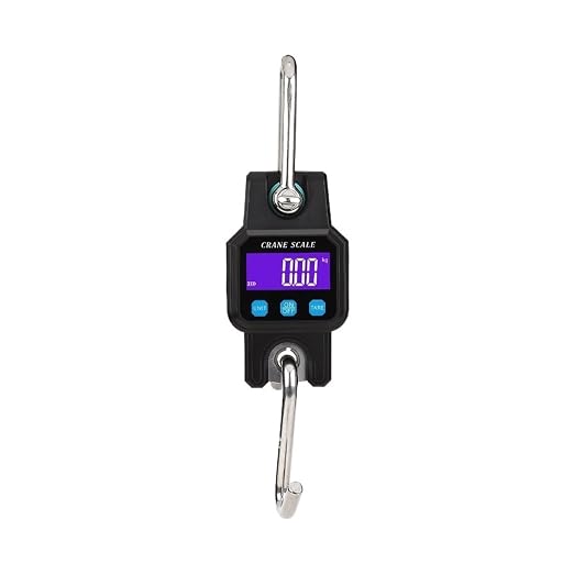 Hanging Scale, 300kg Digital Hanging Scale Rechargeable Portable Heavy Duty Crane Stainless Steel Hook Weight Balance Luggage for Gym,Hunting,Travelling(Black)