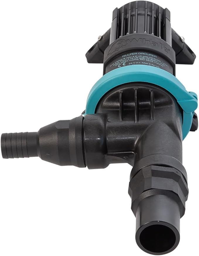 Gulper Grouper Pump - Fishbox Discharge Pump