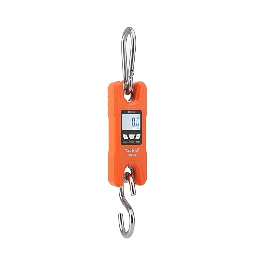 500kg/100g Mini Crane Scale Portable Digital Stainless Steel Hook Hanging Livestock Loop Weighing Balance LCD Backlight(Black)