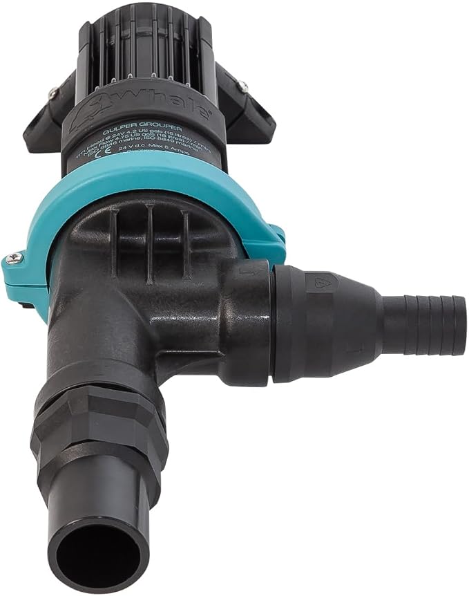 Gulper Grouper Pump - Fishbox Discharge Pump