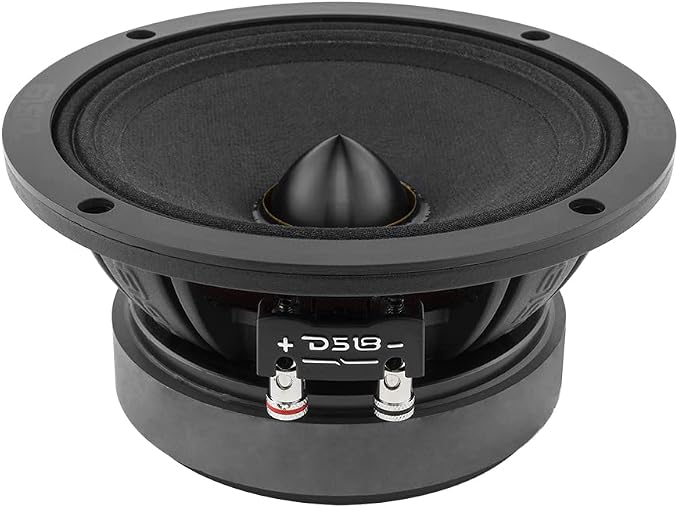 DS18 PRO-ZXI6.4BM 6.5" Pro Audio Midrange Loudspeaker - 600W Max, 300W RMS, 4 Ohms - Premium Quality Audio Door Speakers for Car or Truck Stereo Sound System (1 Speaker)