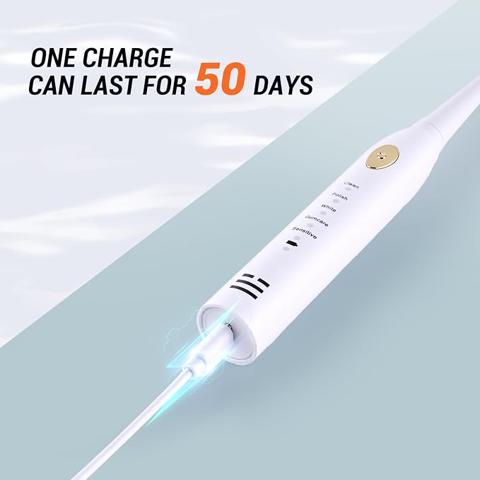 10 Pack Rechargeable Sonic Electric Toothbrush with 40 Brush Heads 12000 VPM 5 Cleaning Modes Smart 2-Min Timer USB Rechargeable IPX7 Waterproof 4 Brush Heads