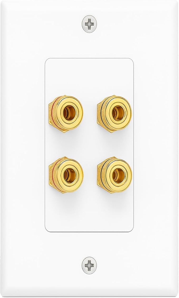 DIYTECH 2 Speaker Wall Plate, Home Theater Wall Plate, Gold Plated Binding Posts, for Home Theater Setup