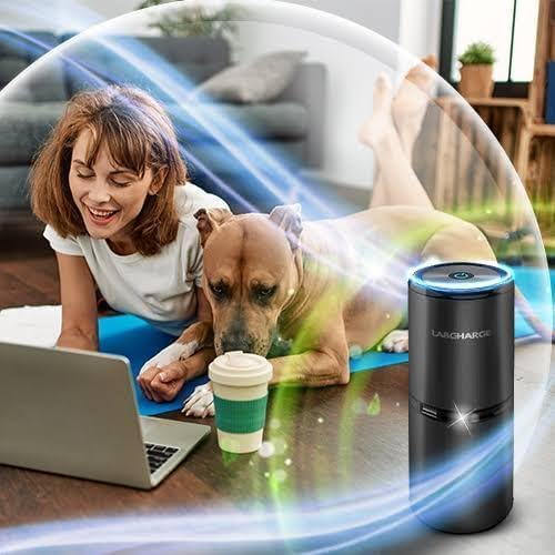LabCharge Small Ionic Air Purifier for Home & Bedroom – Silent HEPA Filter – Covers 250 Sq Ft – For Pet Hair, Smoke, Dust, Odors & Dander – Compact Black Design – Pack of 5